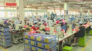 [Video] Hà Nội triển khai 8 nhóm nhiệm vụ phát triển kinh tế tư nhân