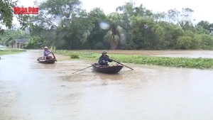 [Video] Cảnh báo lũ trên các sông tại Thanh Hóa, Nghệ An; mưa lớn tại nhiều khu vực ở Bắc Bộ