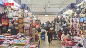 [Video] Cảnh báo mạo danh cơ quan thuế yêu cầu cập nhật địa chỉ