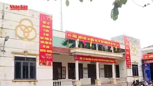 [Video] Chủ tịch UBND tỉnh có quyền quyết định bán tài sản công của địa phương