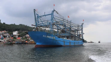 Tỉnh Nghệ An có 2.816 phương tiện /12.644 lao động trực tiếp đánh bắt hải sản.