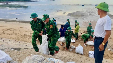 Cán bộ chiến sĩ Đồn Biên phòng Quỳnh Phương tích cực tham gia gia cố đê biển thuộc phường Tân Minh và phường Tân Mai.