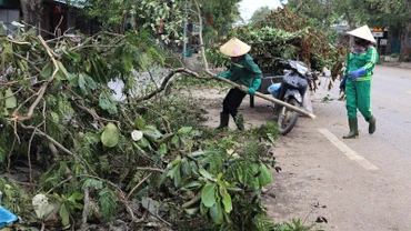 Công ty Cổ phần Môi trường và Công trình đô thị Nghệ An huy động hơn 600 công nhân, lao động và gần 100 phương tiện thu gom rác thải.