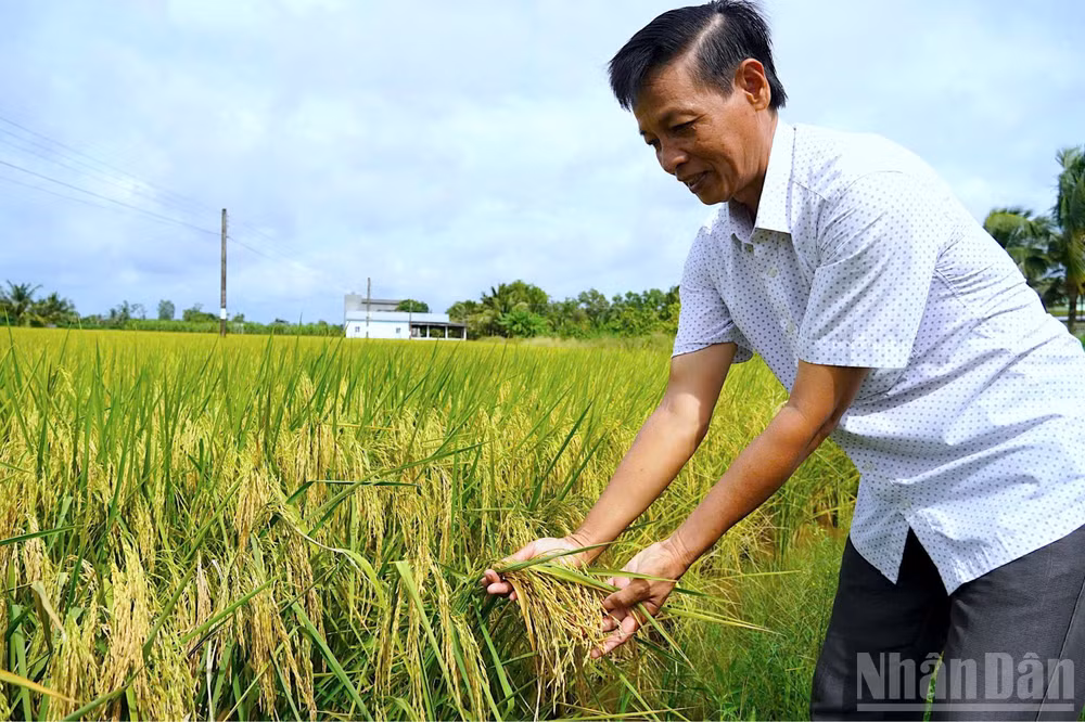 ndo_br_anh-11-2772.jpg