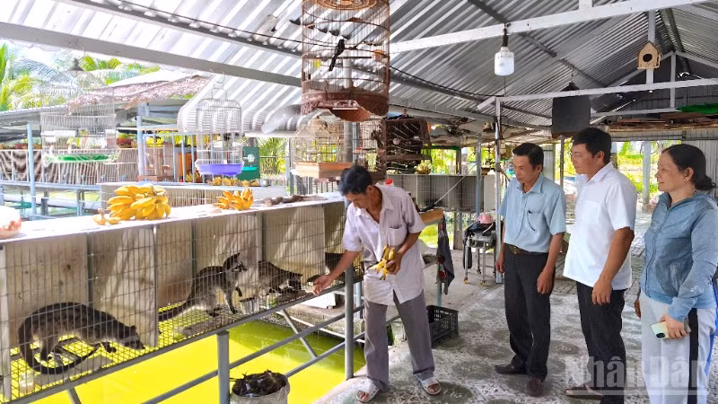 Trong giai đoạn mới, Cà Mau tập trung nguồn lực để hỗ trợ theo cách "trao cần câu cơm" giúp giảm nghèo bền vững.