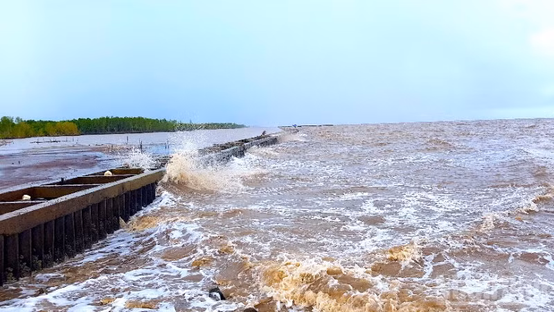 Ảnh hưởng của bão số 12 gây sóng to khu vực ven biển tỉnh Cà Mau.