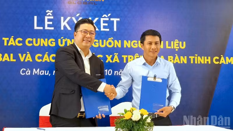 Phó Chủ tịch Hội đồng quản trị Thanh Niên Global Nguyễn Văn Phú (bìa trái) ký kết hợp tác với Hợp tác xã Cua Muối Cà Mau. 