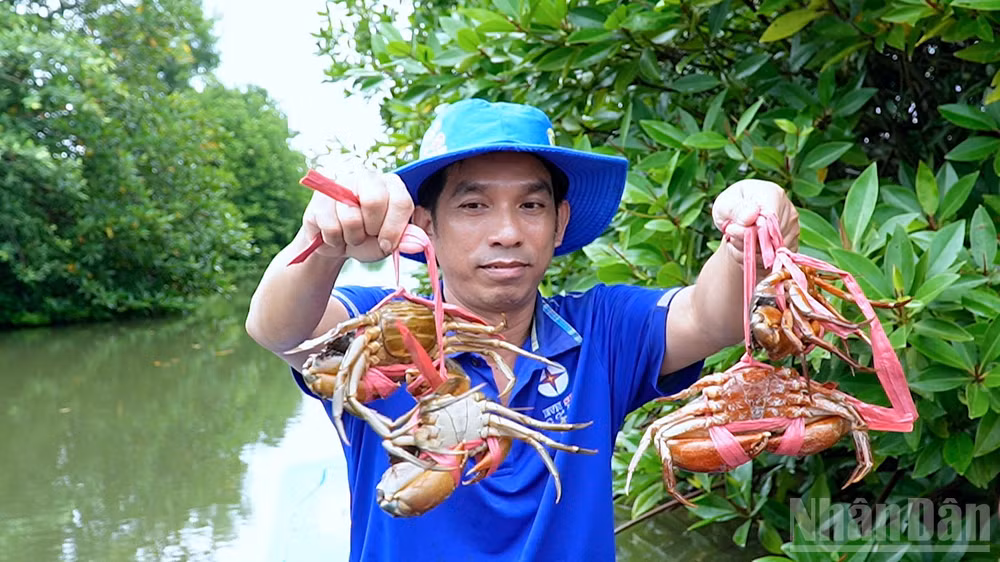 ndo_br_thanh-2-4541.jpg