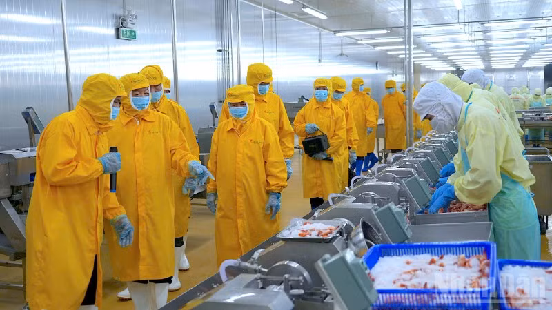 Phó Thủ tướng Chính phủ Hồ Quốc Dũng cùng đoàn công tác khảo sát thực tế tại xưởng sản xuất, chế biến tôm xuất khẩu của Tập đoàn Thủy sản Minh Phú.
