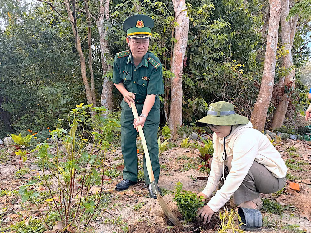 ndo_br_hon-khoai-9.jpg