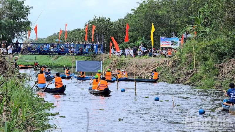Vận động viên tranh tài ở nội dung bơi đua xuồng ba lá tốc độ cự ly 100m tại sự kiện "Hương rừng U Minh năm 2026".