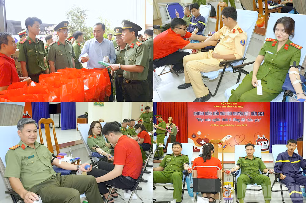 ndo_br_anh-4-6308.jpg