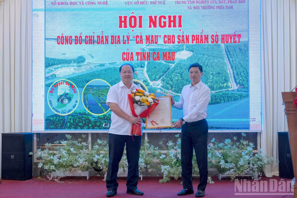 ndo_br_so-huyet-9-1769.jpg