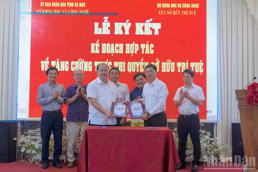 ndo_br_so-huyet-10-6769.jpg