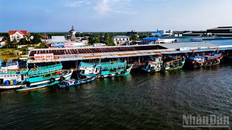 Với chính sách mới vừa ban hành, ngư dân Cà Mau được hỗ trợ 100% chi phí cước thuê bao hằng tháng trên thiết bị VMS đến hết năm 2028.