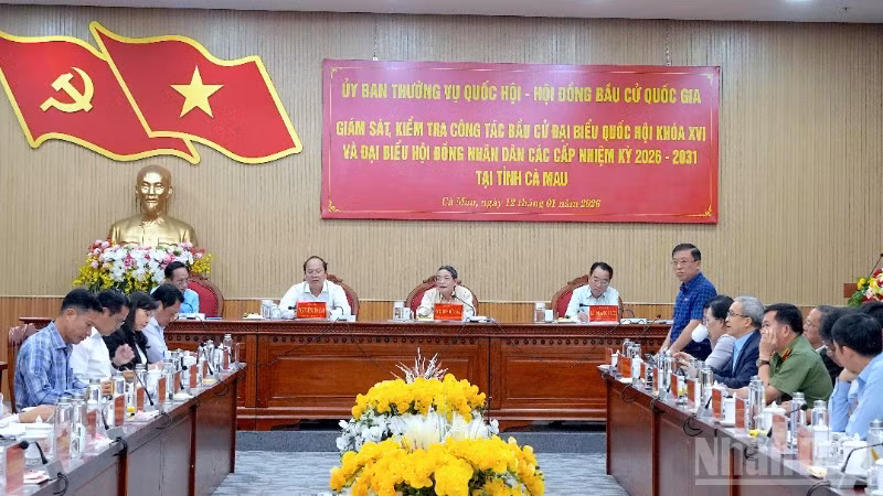 Quang cảnh buổi làm việc