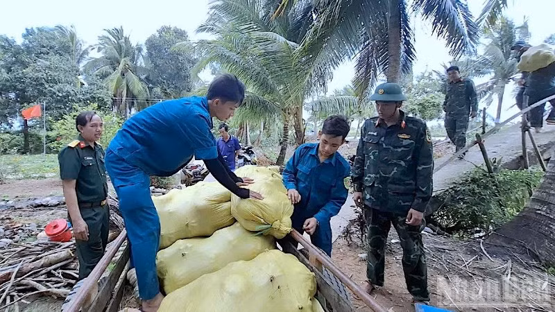 Cán bộ, chiến sĩ Bộ Chỉ huy Quân sự tỉnh Cà Mau xuống tận nơi hỗ trợ nhà nông tiêu thụ bí đỏ.