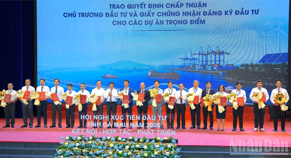 ndo_br_anh-35-2917.jpg