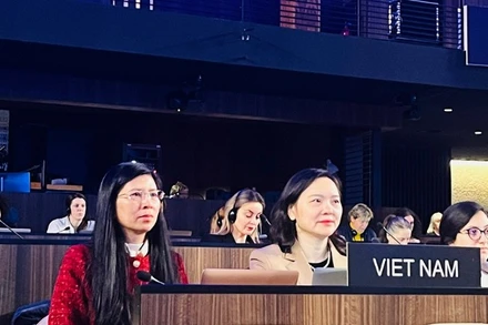 Đại sứ Nguyễn Thị Vân Anh phát biểu tại Kỳ họp.