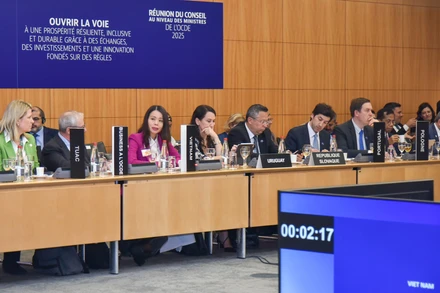 Thứ trưởng Ngoại giao Nguyễn Minh Hằng tại phiên thảo luận.