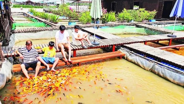 Du khách trải nghiệm tại cồn Sơn.