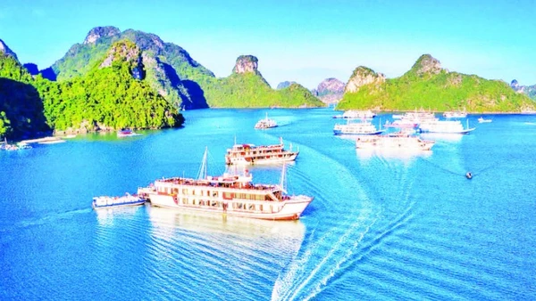 Thành phố Hải Phòng đang thực hiện “đột phá chiến lược” trở thành trung tâm du lịch biển, văn hóa và di sản tầm khu vực, quốc tế. Trong ảnh: Tàu du lịch trên vùng biển Quần đảo Cát Bà. (Ảnh ĐỨC NGHĨA)