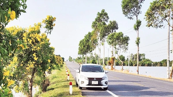 Nhiều tuyến đường đẹp trên địa bàn thành phố Cần Thơ được xây dựng góp phần nâng cao đời sống vật chất, tinh thần cho người dân địa phương.