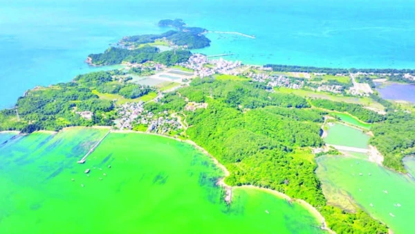 Khu Bảo tồn biển Cô Tô-Đảo Trần có tổng diện tích 18.414,92 ha. (Ảnh NGÔ TRẦN HẢI AN)