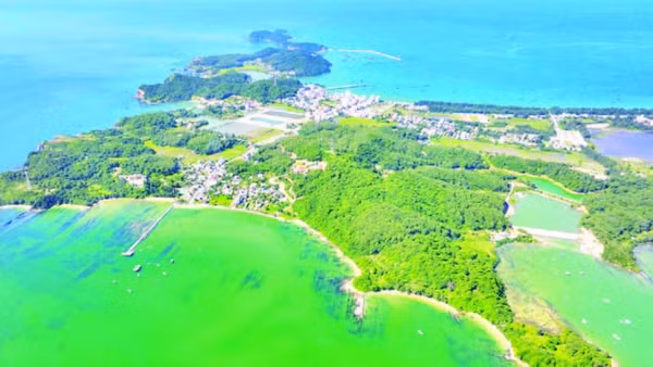 Khu Bảo tồn biển Cô Tô-Đảo Trần có tổng diện tích 18.414,92 ha. (Ảnh NGÔ TRẦN HẢI AN)