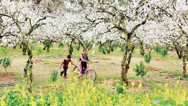 Sắc màu bản H’Mông. (Ảnh: NGÔ MINH PHÓNG)