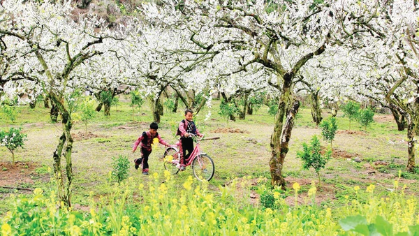 Sắc màu bản H’Mông. (Ảnh: NGÔ MINH PHÓNG)