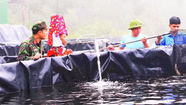 Bộ đội Lâm trường 156 (Đoàn Kinh tế-Quốc phòng 327, Quân khu 3) giúp gia đình anh Vũ Bá Luân ở bản Phật Chỉ, xã Hoành Mô (tỉnh Quảng Ninh) phát triển mô hình nuôi cá tầm nước lạnh.