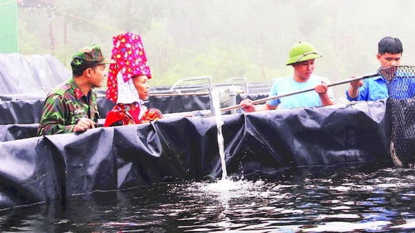 Bộ đội Lâm trường 156 (Đoàn Kinh tế-Quốc phòng 327, Quân khu 3) giúp gia đình anh Vũ Bá Luân ở bản Phật Chỉ, xã Hoành Mô (tỉnh Quảng Ninh) phát triển mô hình nuôi cá tầm nước lạnh.