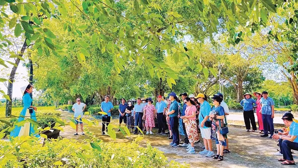 Các tour du lịch góp phần tạo nên sức hút cho làng Quỳnh Đôi. (Ảnh: QUANG MINH)