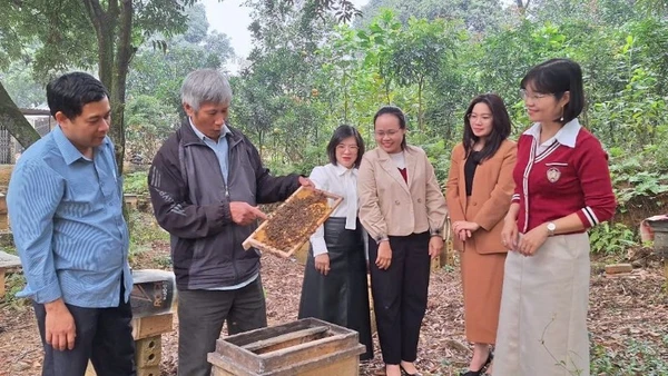 Cán bộ và các thành viên Hợp tác xã nuôi ong Liên Sơn ở thôn Đồng Sơn, phường Lý Thường Kiệt, tỉnh Ninh Bình trao đổi kinh nghiệm nuôi ong mật.