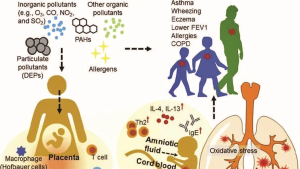 Sơ đồ tác hại của ô nhiễm dầu đối với con người.