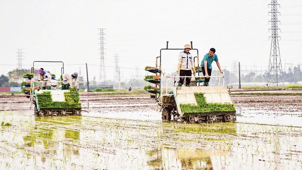 Hợp tác xã Dịch vụ nông nghiệp và Kinh doanh tổng hợp Liên Hà, xã Thư Lâm (Hà Nội) đẩy mạnh đưa cơ giới hóa vào sản xuất nông nghiệp. (Ảnh: TTXVN)