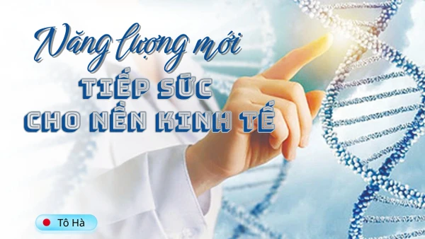 Năng lượng mới tiếp sức cho nền kinh tế