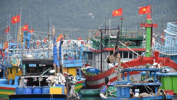 Sắc đỏ lá cờ Tổ quốc trên tàu cá đang neo đậu tại Âu thuyền cảng cá Thọ Quang. (Ảnh: ANH ĐÀO)