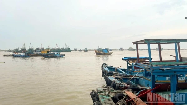 Công tác ứng phó bão số 13 được triển khai khẩn trương, đồng bộ tại các địa phương ven biển Lâm Đồng.