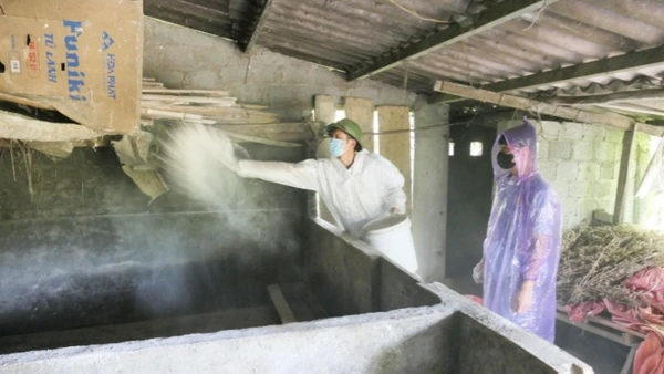 Cán bộ Trạm Chăn nuôi, thú y và Thủy sản khu vực 7 tiêu độc, khử trùng chuồng trại chăn nuôi tại xã Quản Bạ.