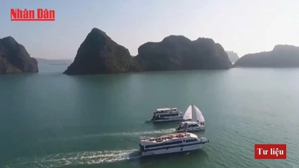 Quảng Ninh đẩy mạnh du lịch sinh thái biển đảo