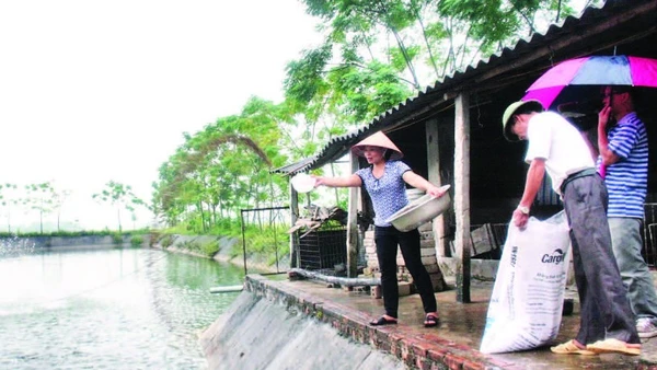 Nuôi trồng thủy sản được xác định là một ngành kinh tế mũi nhọn.