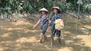 Mưa lũ gây ra ngập lụt tại nhiều nơi, tiềm ẩn nhiều nguy cơ dịch bệnh. 