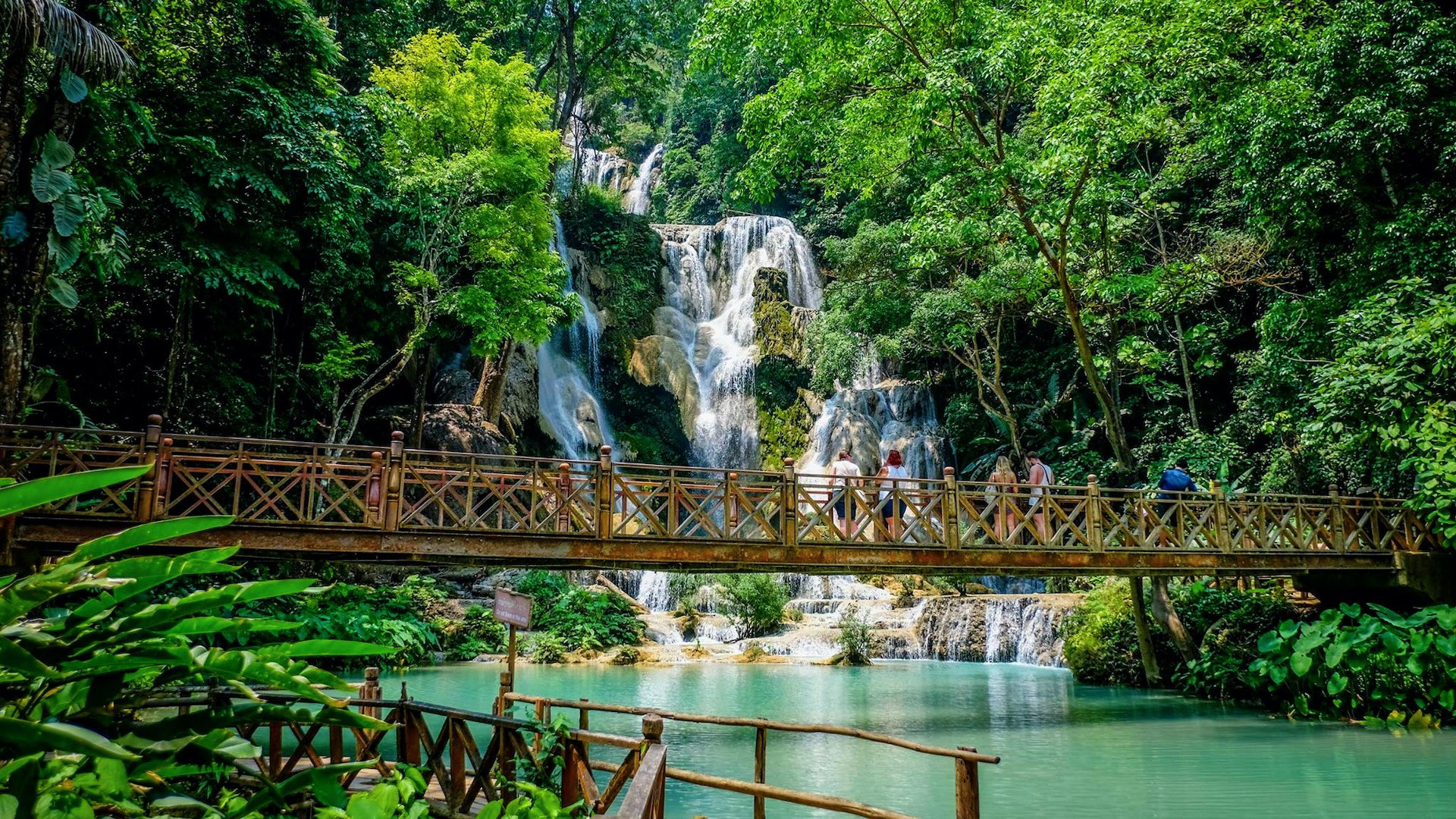 Thiên nhiên tuyệt mỹ ở một góc thác Kuang Si. img-4122.jpg