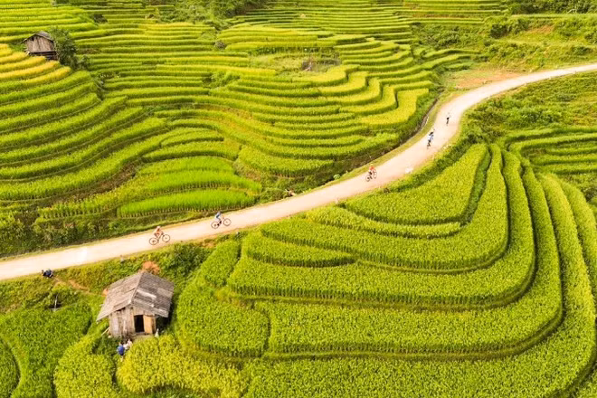Cung đường Giải đua xe đạp địa hình “Mường Bo X-Rice vút bay trên sóng lúa vàng” uốn lượn qua những thửa ruộng bậc thang tươi đẹp.