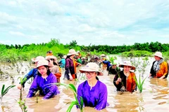 Người dân đầu tư, phát triển du lịch sinh thái bên cù lao Lá (ấp Tân Quý, xã Mỹ Chánh Hòa, tỉnh Vĩnh Long).