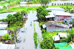 Một góc khu tái định cư Kênh Tư (ấp Lung Tràm, xã Khánh Hưng) bị ngập úng.