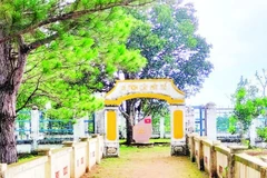 Di tích Cây mít tổ được xếp hạng Di tích lịch sử cấp tỉnh tại khu vực Đồn Biên phòng Bu P’răng.
