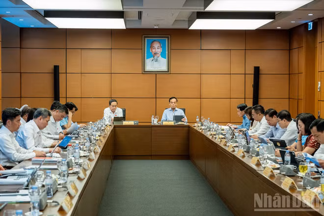 Đại biểu Quốc hội thảo luận tại tổ. (Ảnh: THỦY NGUYÊN)